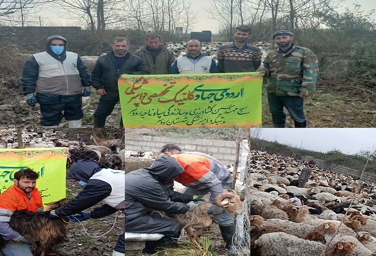 روستاهای سی سرا و گلایه شهرستان رودسر میزبان جهادگران دامپزشکی